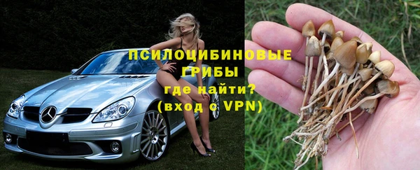 a pvp Алексин