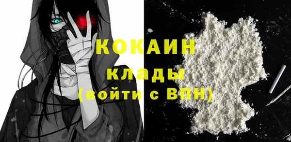 спиды Пересвет
