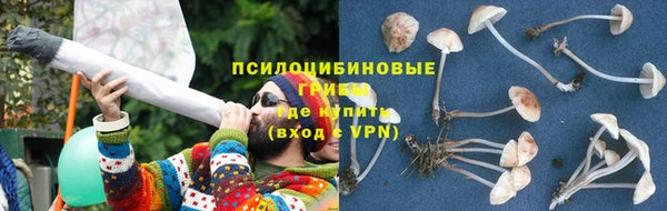 гашик Алзамай